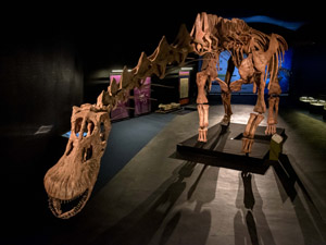 Dinosaurs from Patagonia. Museu de la Ciència Cosmocaixa Barcelona Dinosaurs from Patagonia